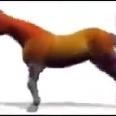 I can't hœld mæ Hørșê$