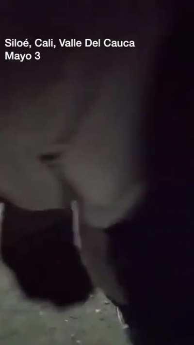 MATARIFE mintiendo ante la prensa internacional