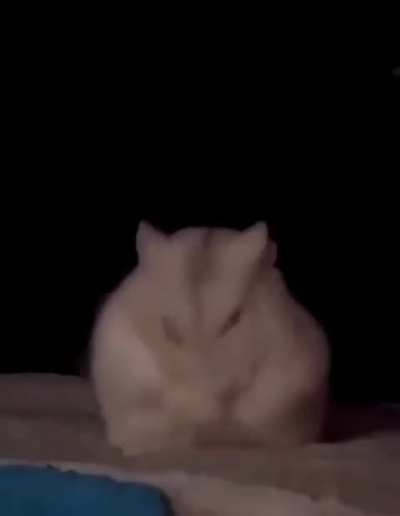 WUNK PRESNT (GIFTED!!!)