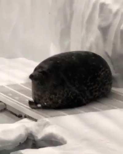 Feeling blessed to have witnessed this unit in action