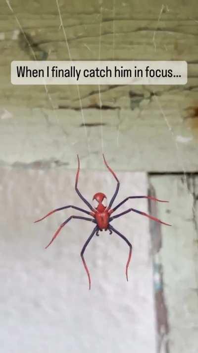 Don't know what it is but it needs to stay over there and away from here!