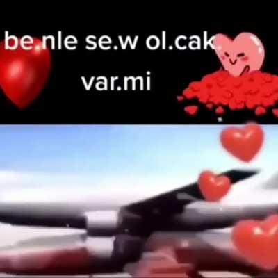 😺😸😹😻😼😽🙀😿😾