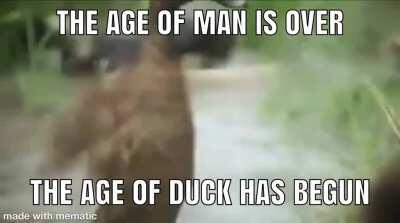 We're taking over, bois