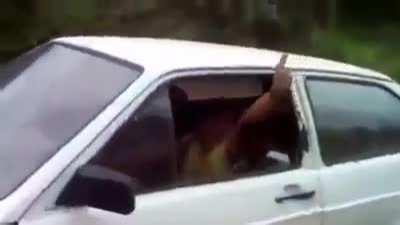 A video that I found out today of a very broken Volkswagen. I found no info. Is this a way to show off?