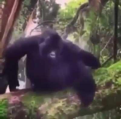 Me, hyping myself up before markets open, despite knowing better than to expect anything in certain dates.