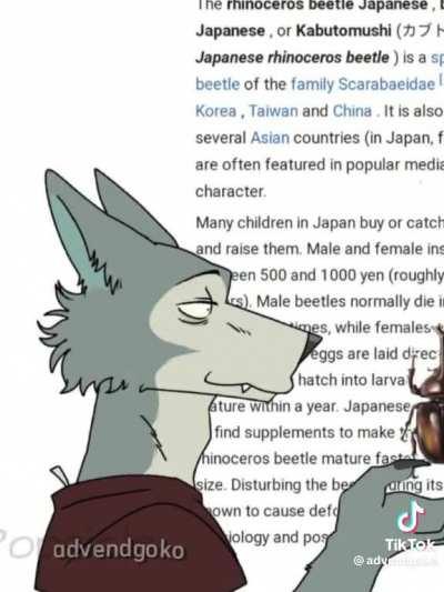 animal life in spanish 