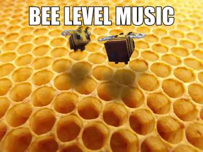 A year or two ago, I dreamt of a location that plays music with bees as the instrument, I remember it having a distinct sharp vibrato and was in the key of C# Major. (Music made in Logic Pro)
