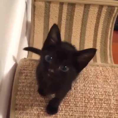 I wouldn’t be able to hold out for that long