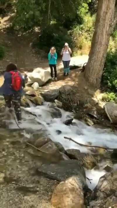 HMC while I become one with the rivers of the forest