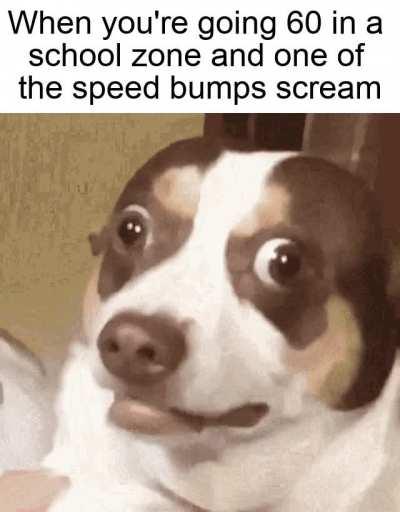 *Distant police sirens*