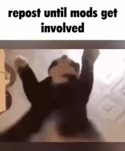 im not done 17(improve or die furries) 