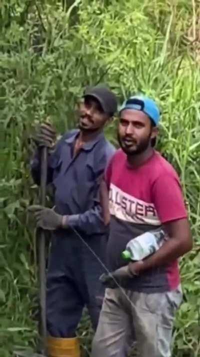 Look at me everyone, look at me