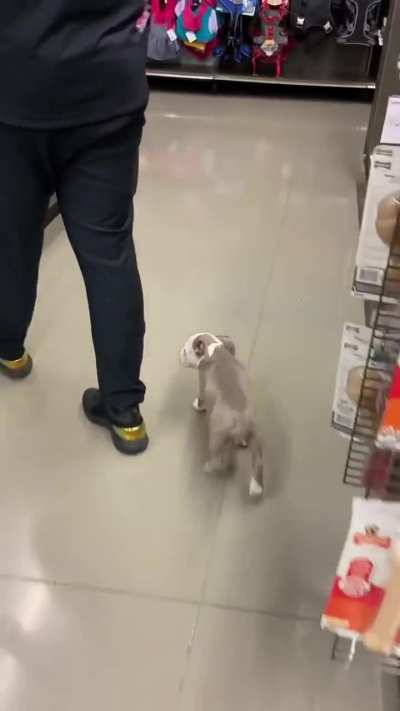 Unexpected ending in the market