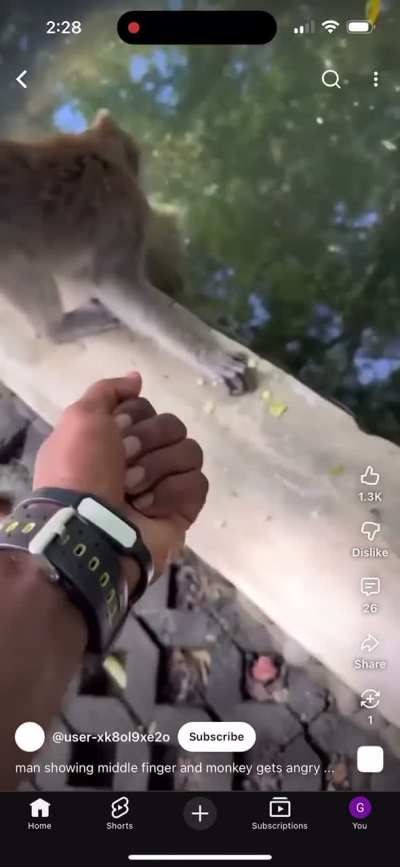 Monkey is not pleased with the finger and retaliates