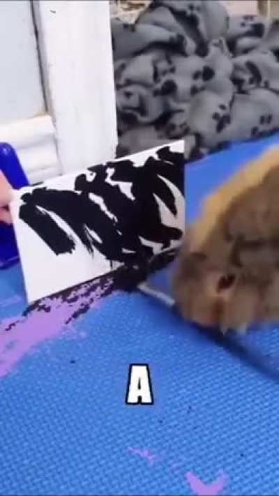 1k flipping members... heck yeah 😎