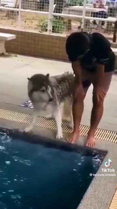 Arguing, pleading, and bargaining, before excepting