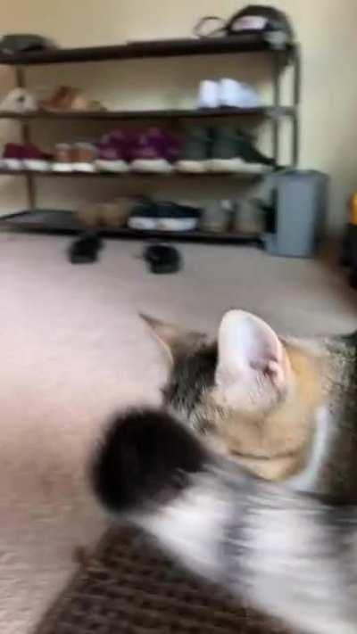 Bean has a secret for you