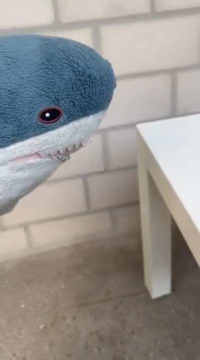 Silly video about a shonk taking a phrase too literally, also a new face appears