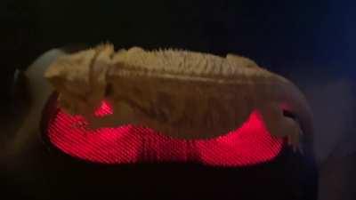 Hazel Enjoying her heated pillow massager