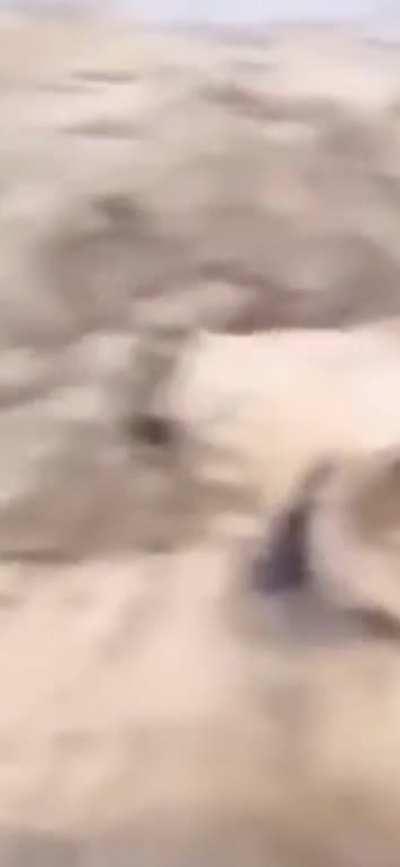 WCGW Trying to jump 10 feet below you while being drunk and holding a beer…