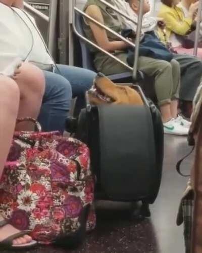 Only Pack The Essentials!