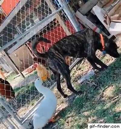 Let me introduce myself...