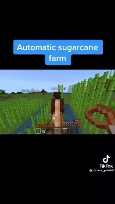 OTOMATİK ŞEKER KAMIŞI FARMI