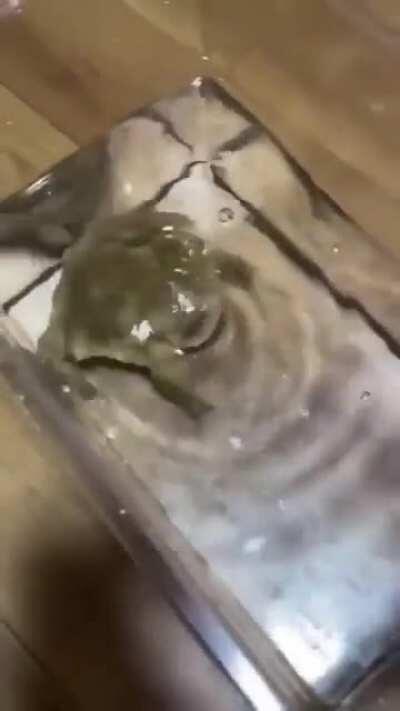 Tam söverken mute yiyince olur gibi