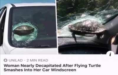 Oh god please I just got into hardmode