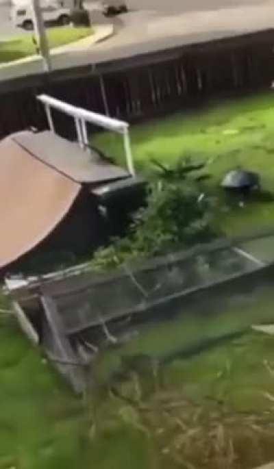 I think he hit the ball