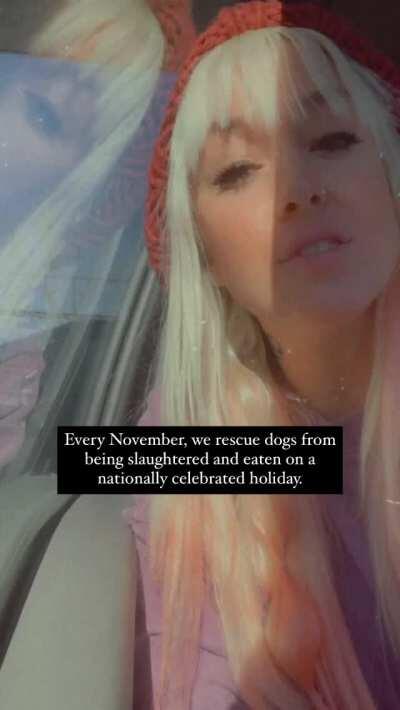 Every year this sanctuary rescues dogs from being eaten