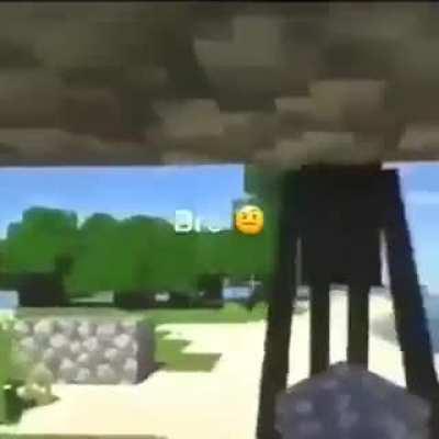 WTF ! Revolution of Enderman.