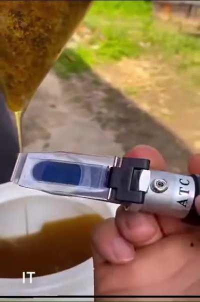 Thanks, I hate honey