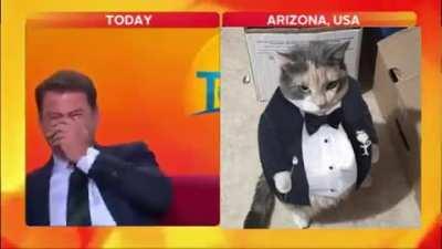 Hey guys Risegamers21s alt account here I just need to tell you guys my balls hurt