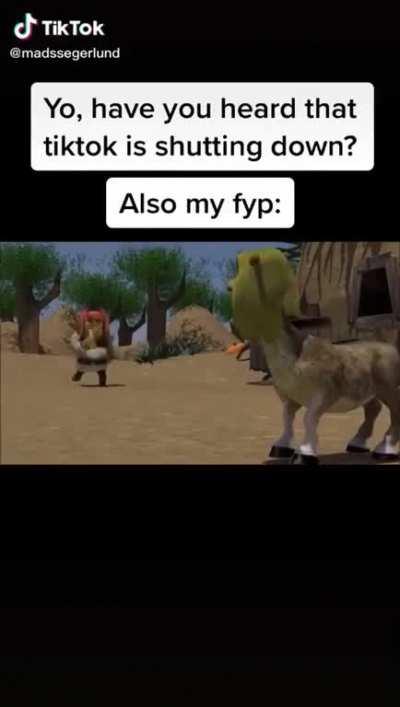 Tik Tok Is getting out of hand