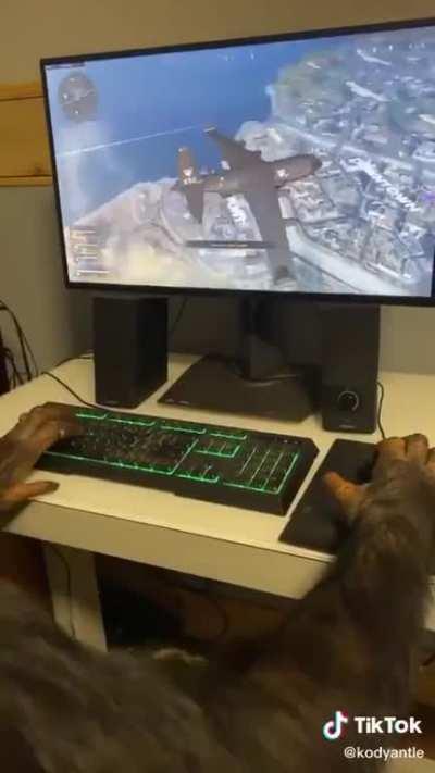 MUCALOL JOGANDO PUBG