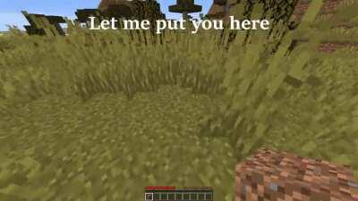 Minecraft, but my friend is a dirt block