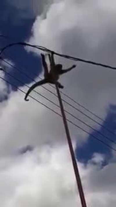 te faltó calle, pa : (