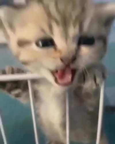 Немного милоты