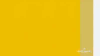 Kitten Olympics are in full swing