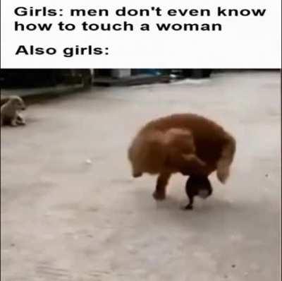 Saw this on r/dankmemes. The title said 'Get those teeth off me, bitch!'