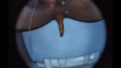 [f] Would you like to be my toilet?