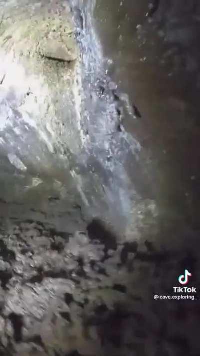 We do a bit of caving 🗿