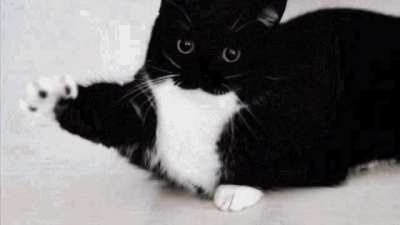 uni so o so colio im azamzed shcked