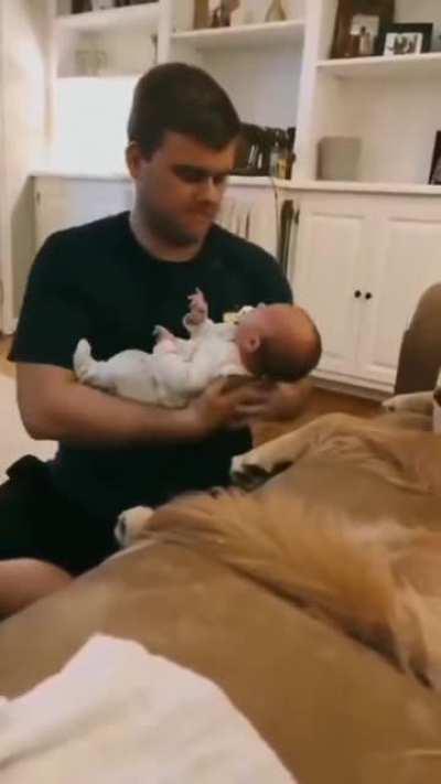The baby wants to sleep on the dog's lap, not his father's
