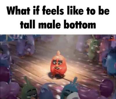 Something something.. society expectations