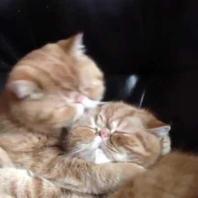 love hate relationship