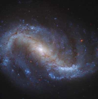 New from Webb! Infrared image (orange-red) of spiral galaxy NGC 7496, overlaid on visible light image from Hubble. 