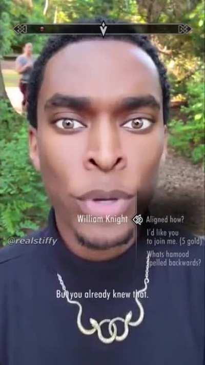 Skyrim npc in real life