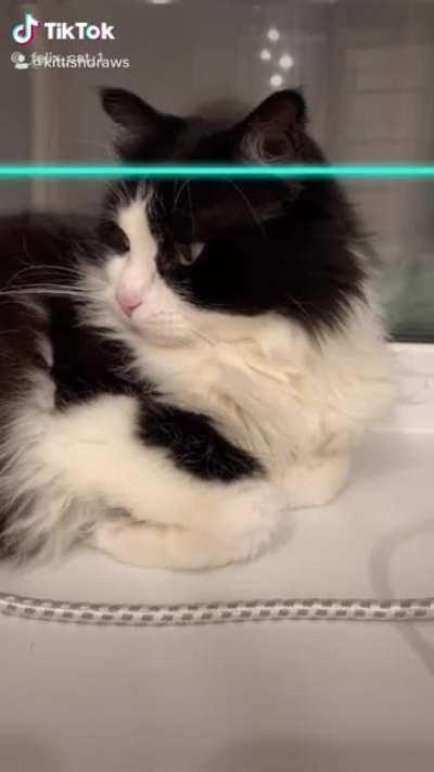 Thanks I love it u/kittishdraws !